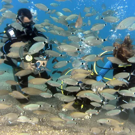 リゾート Kipriotis Village 4*